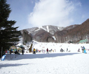 2009.03.07-02.jpg