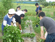 2010.09.04-6.jpg